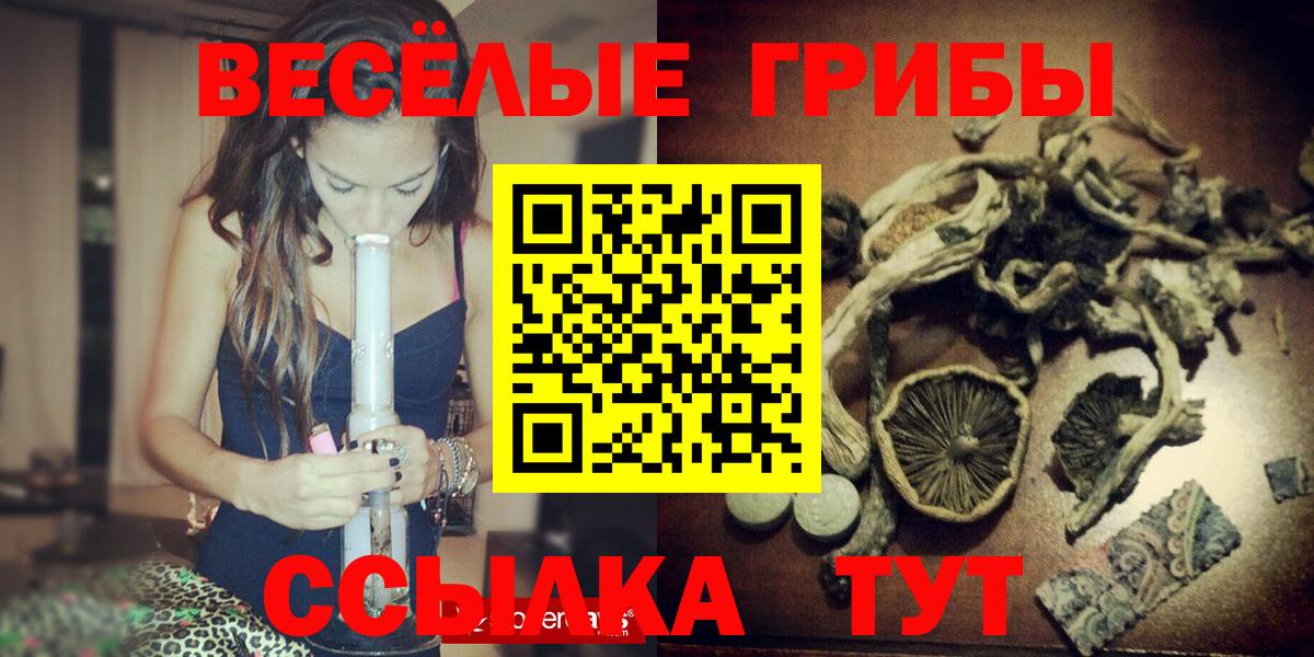 Краснознаменск  Галлюциногенные грибы Magic Shrooms  сколько стоит  Псилоцибиновые грибы мицелий  Вход с VPN 