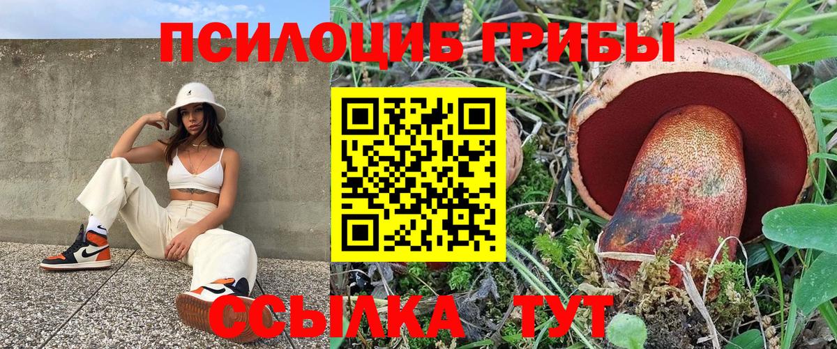 Галлюциногенные грибы мицелий Краснознаменск